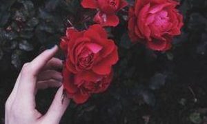 Doran_xo naked before webcam in live video chat