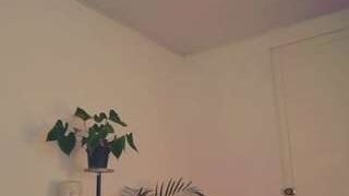 Hollyshiit nude on cam in her Live Sex Chat
