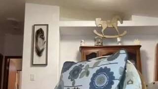 jazmanian-devil nude on cam in her Live Sex Chat