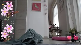Squirtmania naked on cam for live sex chat