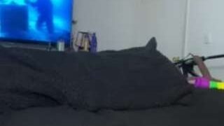 Dahdah22 nude on webcam in Live Sex Chat