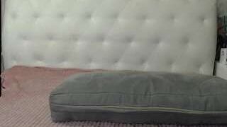 GinaAngelina nude on webcam in Live Sex Chat