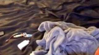 SexieLoveBug8614 nude on webcam in Live Sex Chat