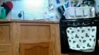 GinaBooty nude on webcam in Live Sex Chat