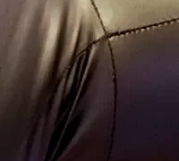 SexyLayla1 naked on cam for live sex chat