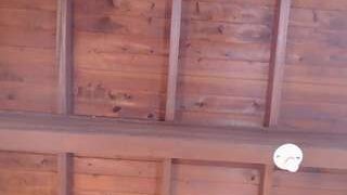 MilaRose4 nude on webcam in Live Sex Chat
