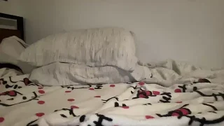zoweybunnyy naked on cam for live sex chat