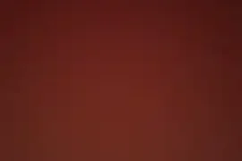 HornySofia29 naked on cam for live sex chat
