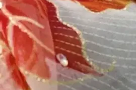 Cute–Jaan naked on cam for live sex chat